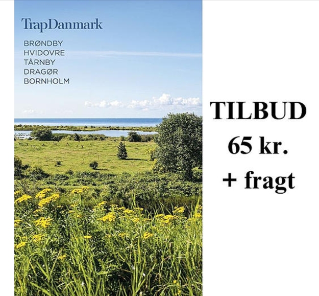 Dines Bogø