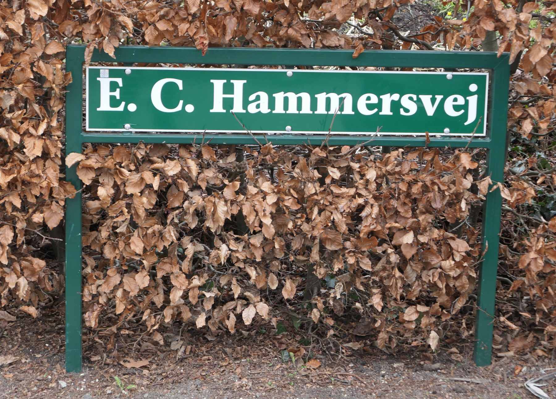 Historisk Forening - Villa - E.C. Hammersvej 8